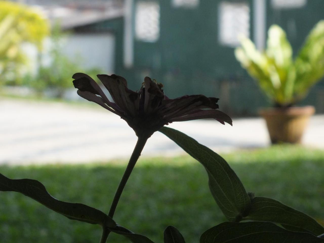 Hillsview Rest & Guest House มาตาเล ภายนอก รูปภาพ